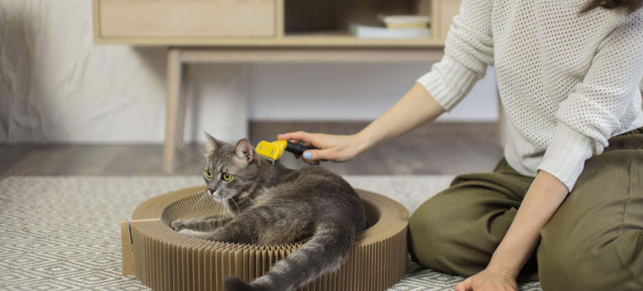 How to Keep Your House Clean with a Cat