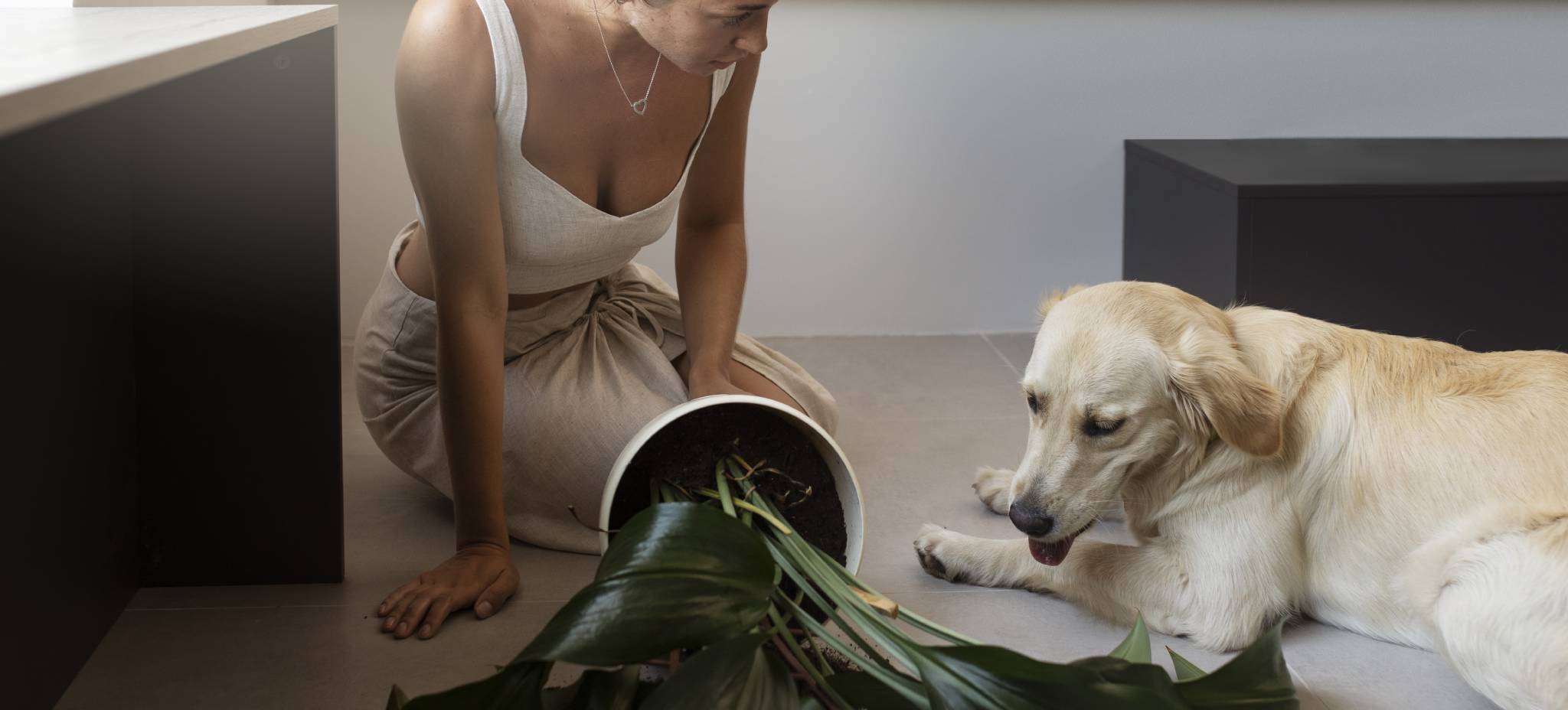 4 Cleaning Secrets Pet Owners Must Know