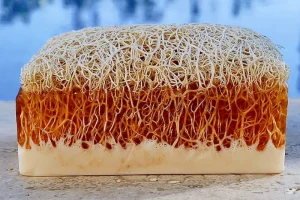 Reasons to Use Pumpkin Fibre Instead of Dish Sponge